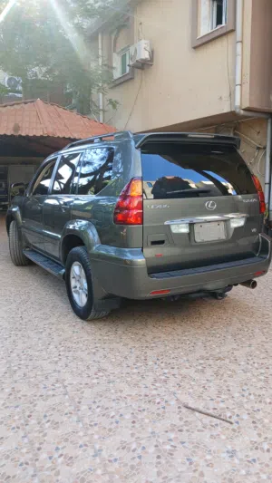فل مسكر زواق الدار