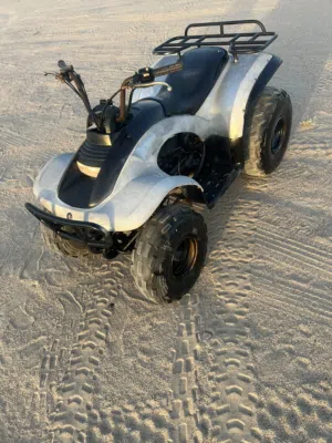 البيع بقي تايون