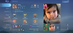 Premium MLBB Account  116 Heroes  182 Skins  Full Access