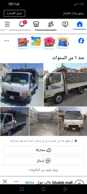 ديانا مايتي النقل الاثاث