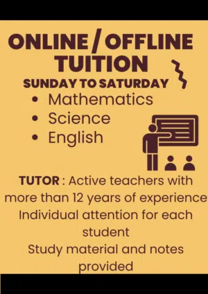 Tutor for maths, science and english
