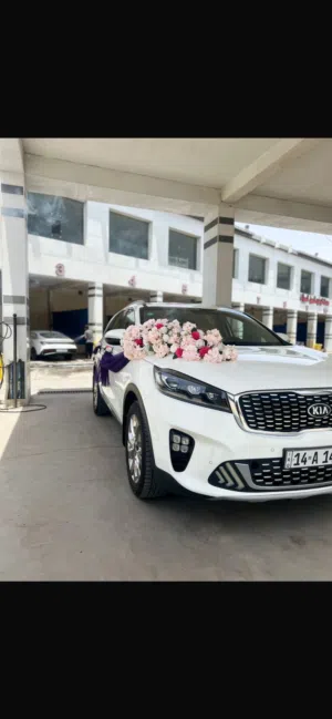 Used Kia Sorento in Basra