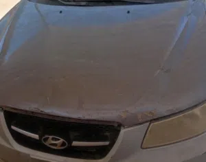 سوناتا 2007