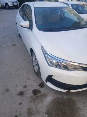 كرولا 19 للبيع