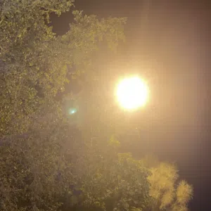 بو منصور 