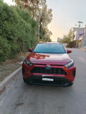 راف فور هايبرد 2022