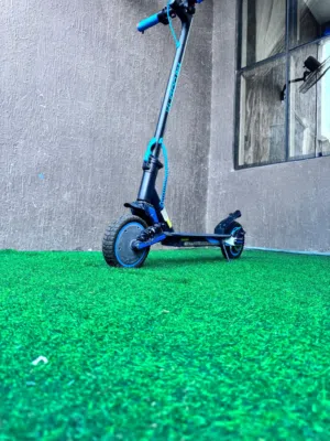 electric kugoo scooter