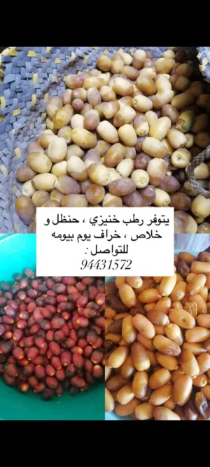 متوفر رطب بشكل يومي
