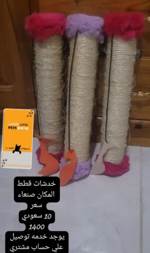 خدشات للقطط 1400 10 سعودي