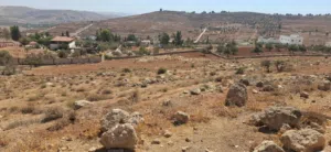 Farm Land for Sale in Jerash Other