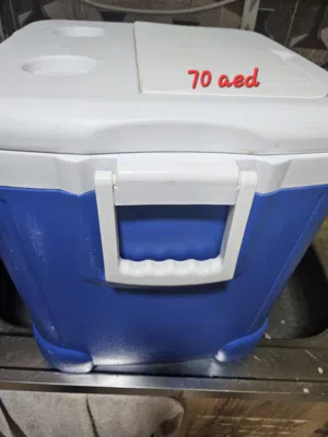 صندوق تبريد كبير