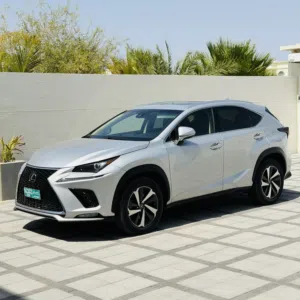Used Lexus NX in Muscat