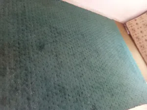 موكيته لون اخضر طولها ثلاثه متر وعرضها مترين