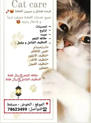 ‏خدمات العناية بالحيوانات‏4