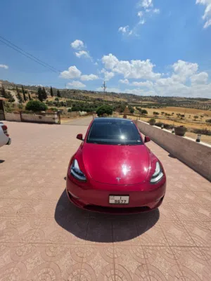 Tesla Model Y 2021 Long Range AWD