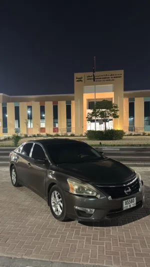 التيما 2014