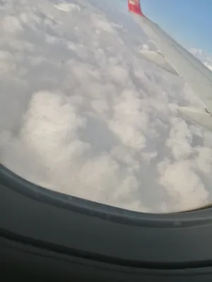 كوثر محمد علي الشيخ 