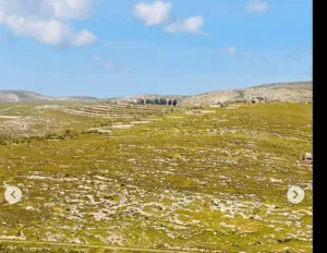 ارض في جينيسينيا للبيع