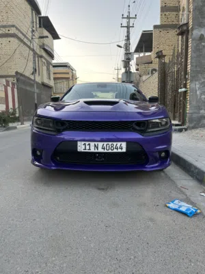 جارجر بنفسجي 2023
