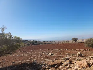 Farm Land for Sale in Amman Bilal
