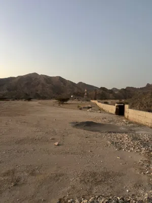 ‏زراعية ‏.‏ سنوي ‏.‏ 42000 م٢‏2