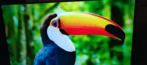 شاشه سامسونج 50 سمارت
