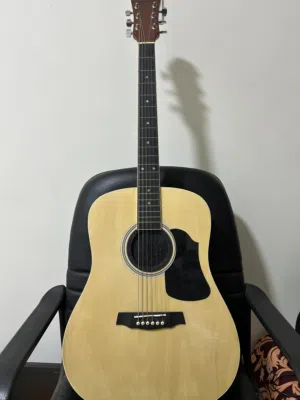 Acoustic guitar