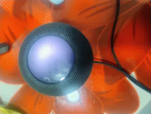 هوم بود مني للبيع