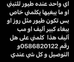 إذا في طيور  عندك ما تبغيهم او للتبني تواصل معاي