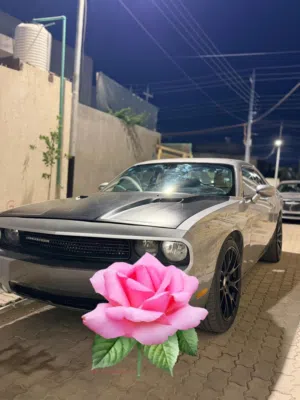 سياره للبيع