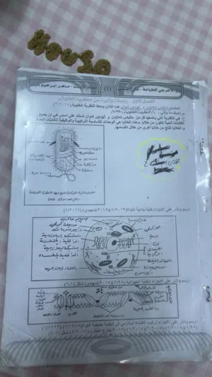 ملازم سادس علمي تحتوي ع اسئله وزاريه يوجد ملازم مستخدمه لاكن نضيفه واغلب الاستخدام ملاحضات يوجد جديد