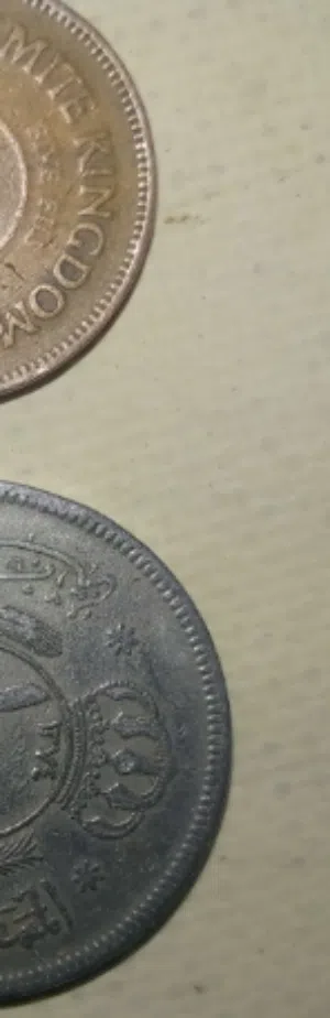 طيور للبيع