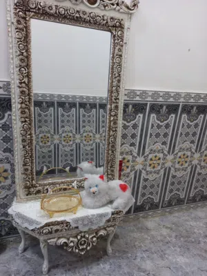 مراية+ ثريه كبيرة ثنينهم مكنسة شغاله