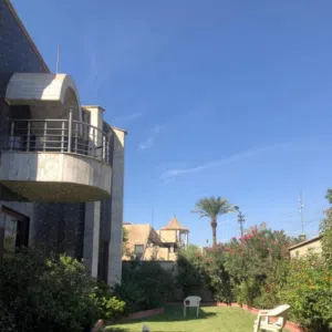 ابو حسن 
