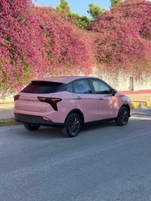 نيتا في 2022 حرة neta v 2022 كامل جمرك جديد neta aya 2023