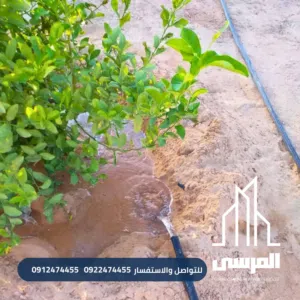 ارض سكنيه في زريق بمساحة310م جاهزة للبناء والسكن