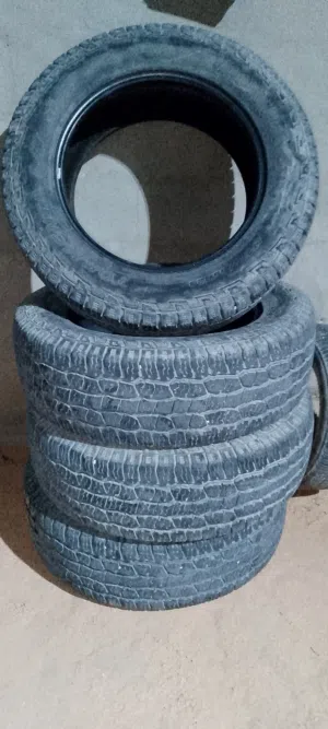 تيوتاء تندرا
