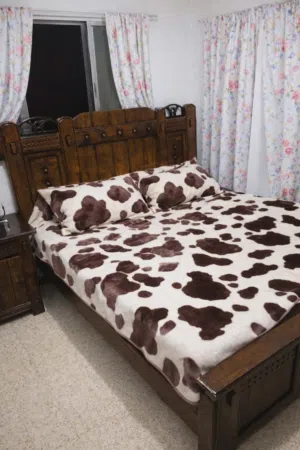 مجدي حمدان