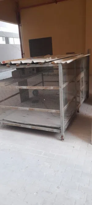 bigg cage ford birds