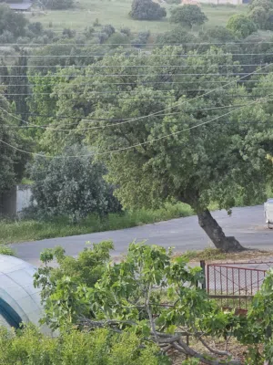 اراضي في بدر للبيع