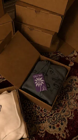 مشروع قائم بحاجة إلى شريك مناسب للتوسع