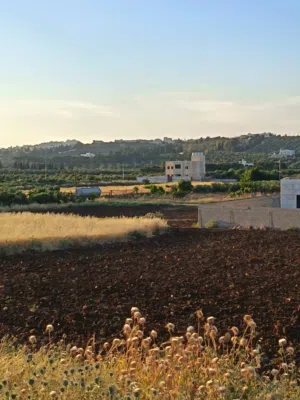 Mixed Use Land for Sale in Amman Naour
