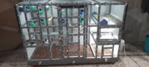 قفص عصافير كبير خيالي وبسعر مغري طوله( 160 ) عرضه ( 100 ) أرتفاعه ( 60 )