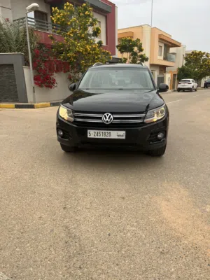 تيجوان 2015