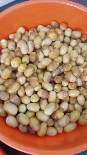 رطب خلاص الباطنه