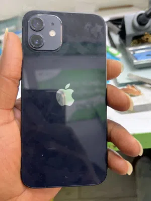 Regular iPhone 12
