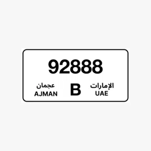 لوحة مميزة للبيع