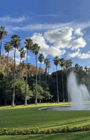 عايد أبو محمد