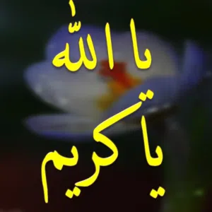 Ahmed Aldnen