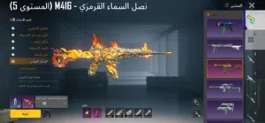 Pubg Accounts and Characters for Sale in Amman